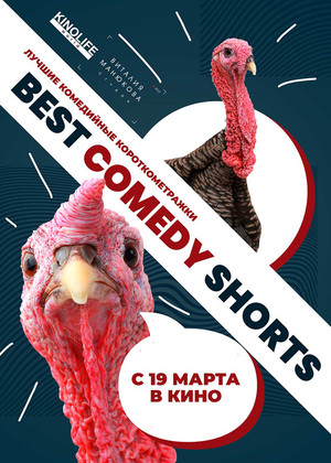 Фестиваль комедий Best Comedy Shorts (18+)